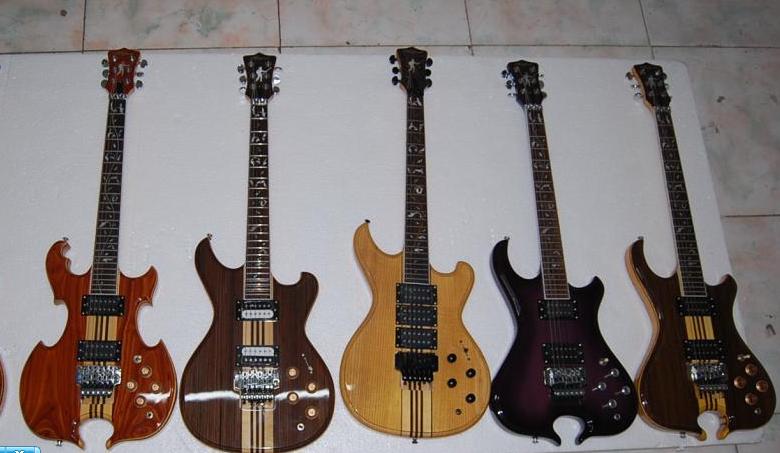 Photo annonce Guitares Electriques Haut de gamme