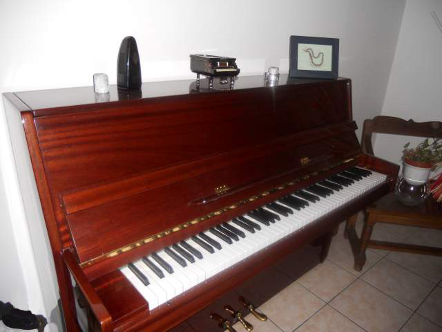 hofner piano