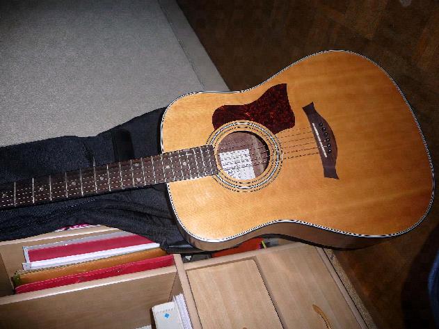 Photo annonce Guitare SX SX 30